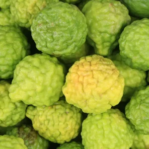 bergamot™ dōterra
